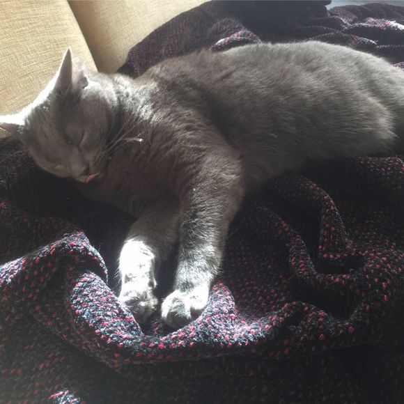 Meet your Posher, Andrew - Picture 1 of 1